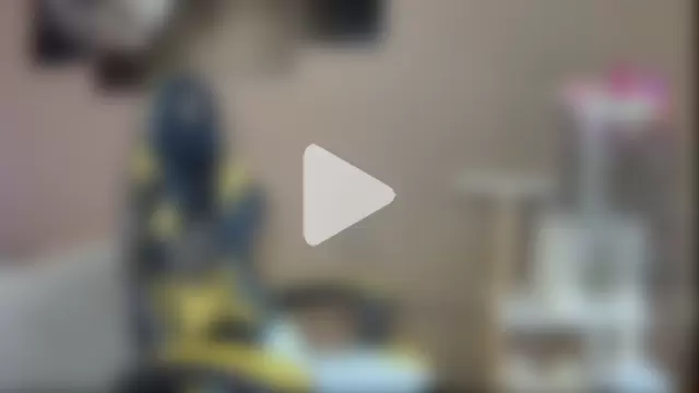 Jason_theGreat photo 21