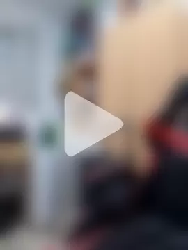 Javier_bear photo 30