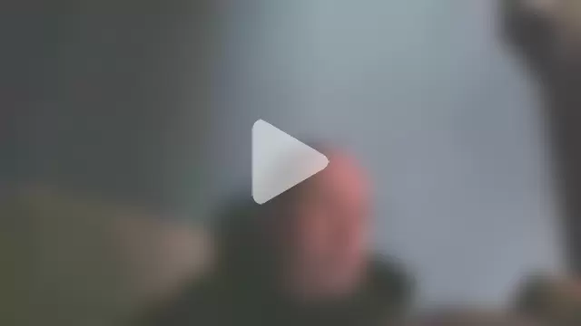 JayLovesTransGirls photo 1