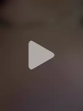 Jensen-Hally photo 22