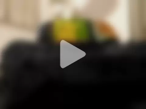 JerzeyMikeC photo 12