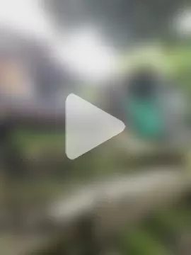 Jestebandiaz07 photo 23