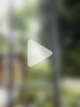 Jestebandiaz07 photo 16