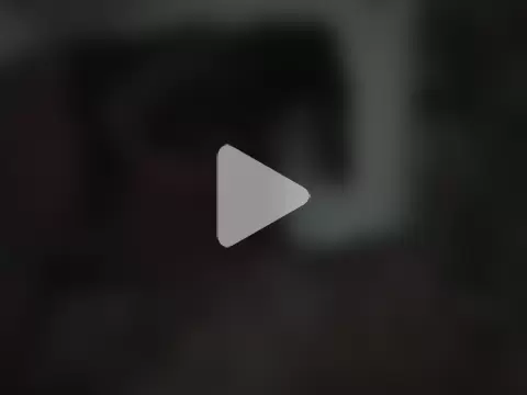 JokerandHarleyQuinJA photo 10