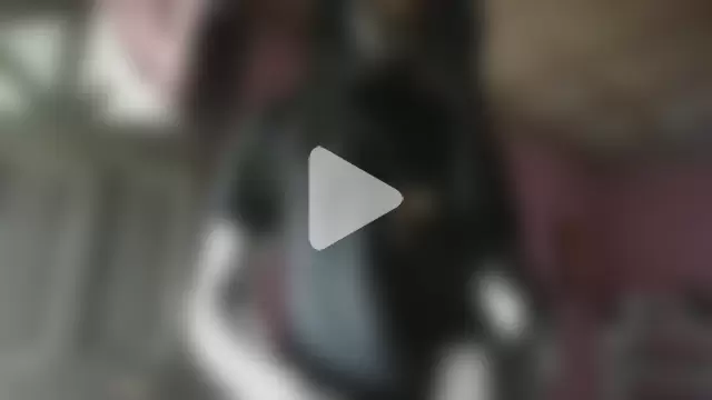 JokerandHarleyQuinJA photo 3