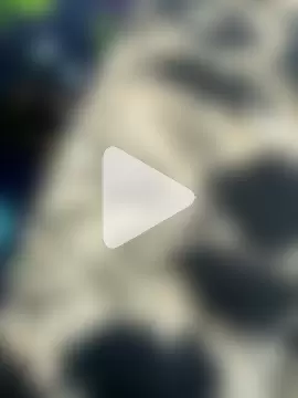 Juhi_chawla photo 21