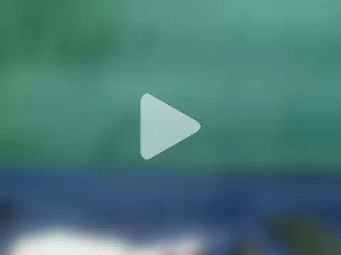 JuicyWetPussy19 photo 8