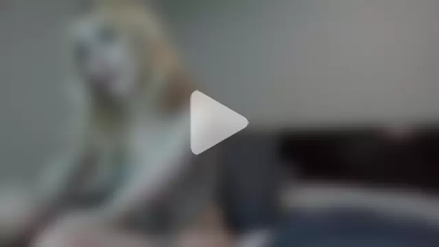 JuliaRaeOfficial photo 1