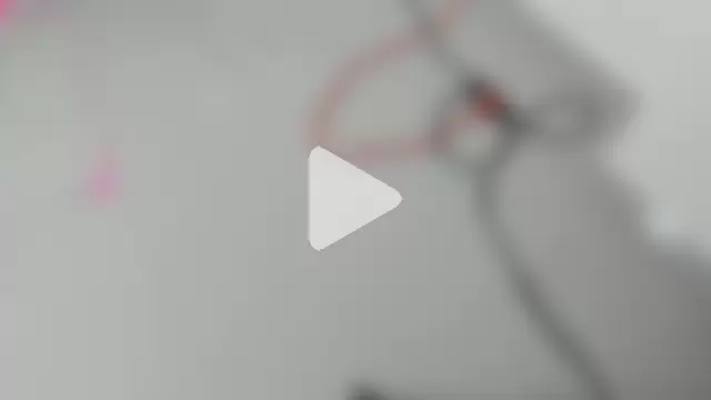 JulianaPons photo 15