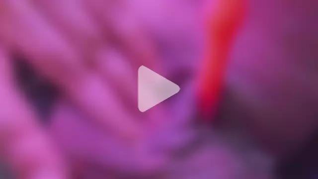 Juliana_bigboobs photo 15