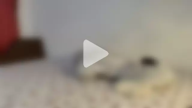 JullyanaRain photo 23