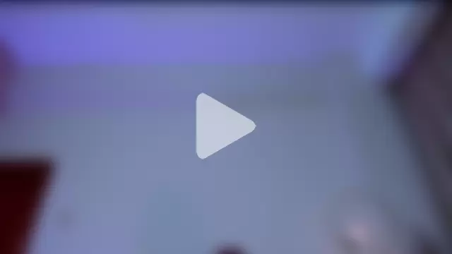 JupiteFox photo 22