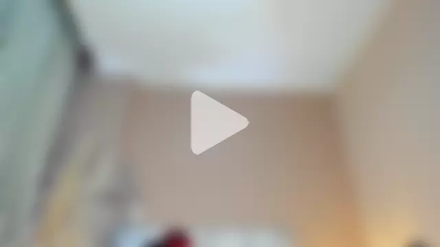 JupiteFox photo 21