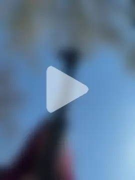 Just_Sophia_ photo 1