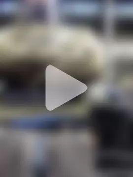 Justahungdad photo 11