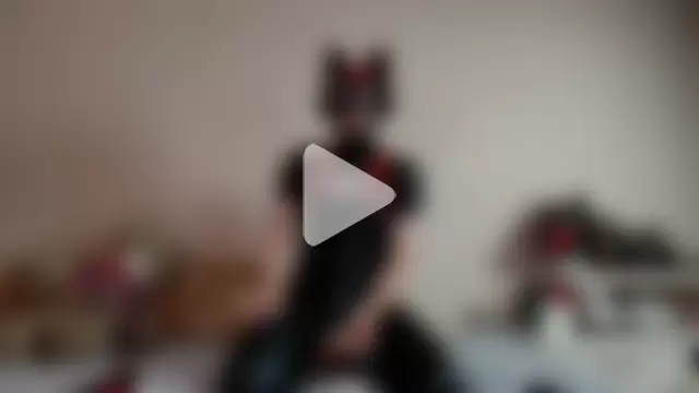 K9_GoodBoy photo 10
