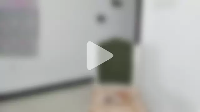 KK-328 photo 4