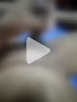 KL47THRISSUR photo 5