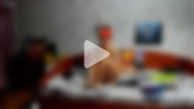 KagamiTayga photo 27