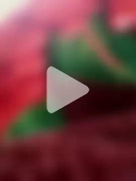 Kamonamydestiny0947 photo 1