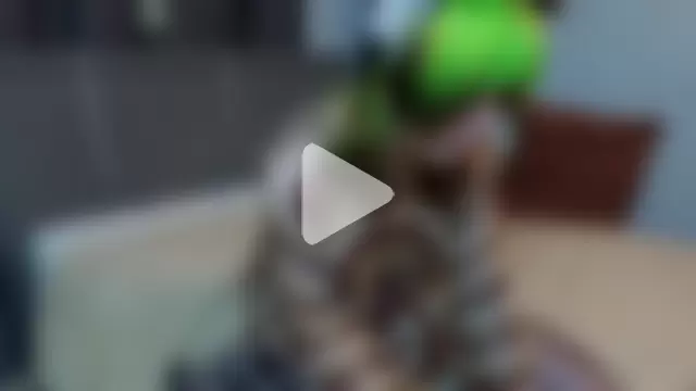 KandraCruser photo 25