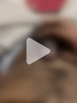 Kasunkalshan1 photo 6