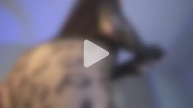 KatiaFinesse photo 25