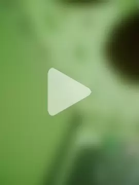 KcYes1 photo 6
