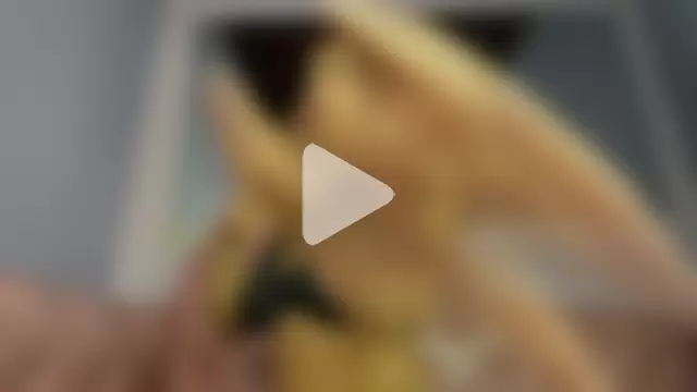 Keitty_Rose photo 23