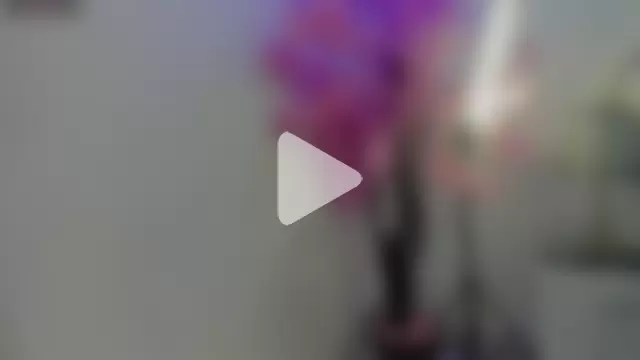 KendalStallyon photo 20