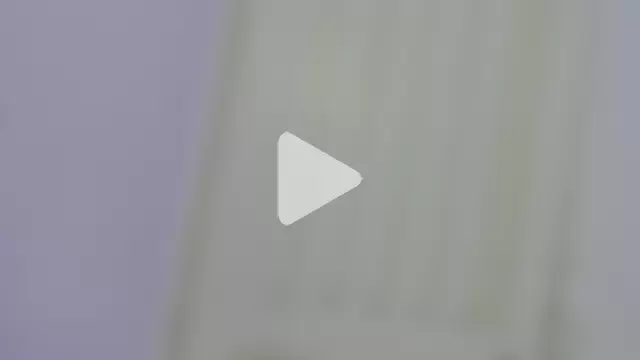 KendalStallyon photo 4