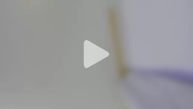 KendalStallyon photo 1