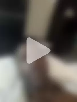 KingBlackStallion photo 2