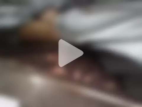 Kinjal_patel01 photo 14