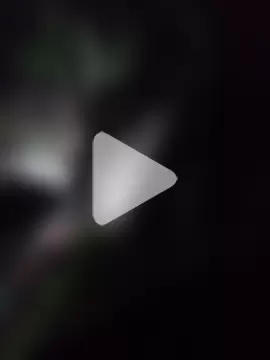 KiranTheBull photo 16