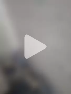 KiranTheBull photo 1