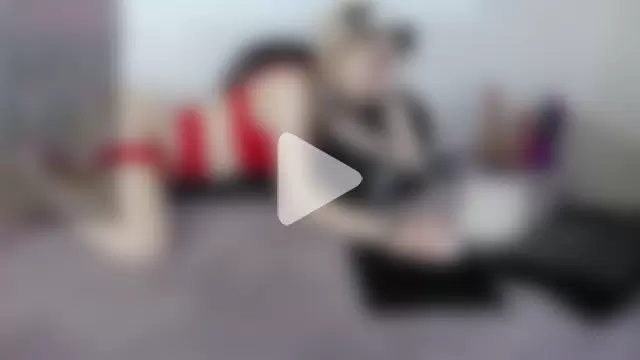 Kitten-Meow photo 22