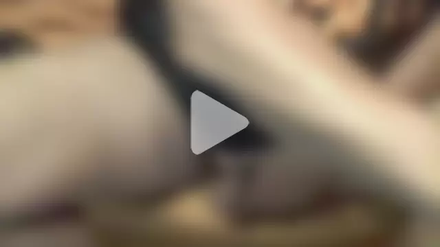 Knabenpenis@xh photo 23