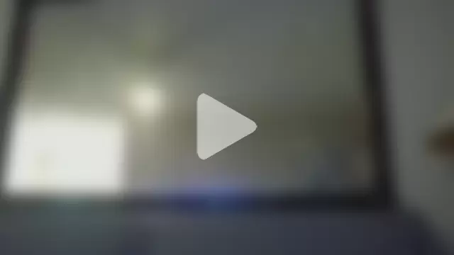 KosherCo313 photo 12