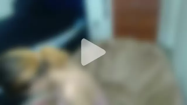 KratosAfroditacs photo 27