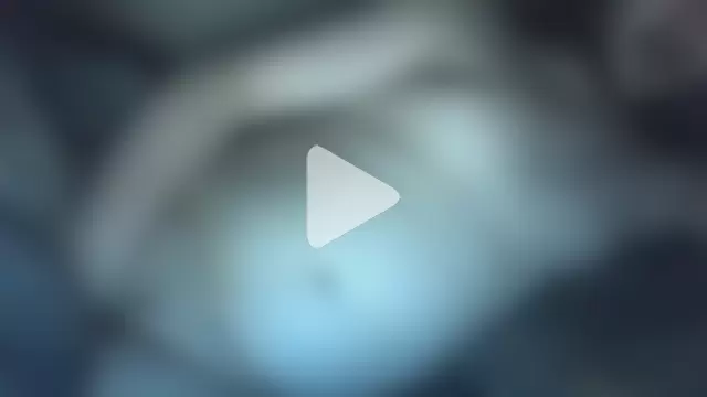 Kushalakalez photo 7