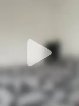 LEIRIS_Y_FRED_01 photo 27