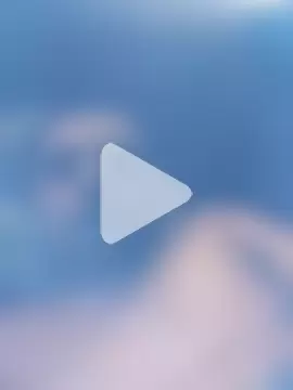 LOBOTESUDO17 photo 3