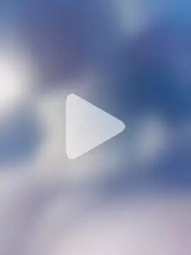 LOBOTESUDO17 photo 2