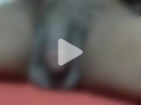 Latinian_cock photo 13