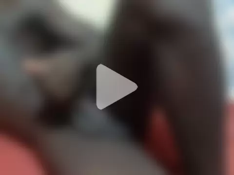 Latinian_cock photo 10