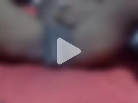 Latinian_cock photo 2