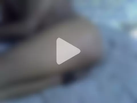 Latinian_cock photo 1