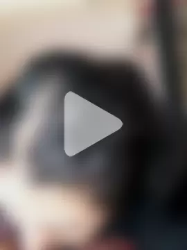 LauraHorny69 photo 11