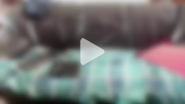 LauraMonolo photo 19